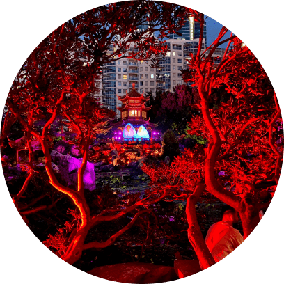  - Nature Illuminated - Sydney Chinese Garden