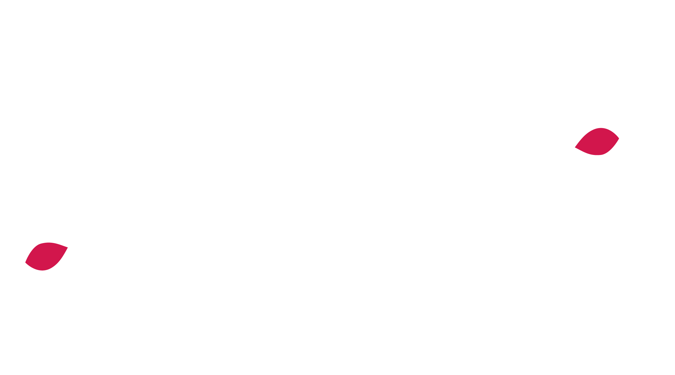 Nature Illuminated